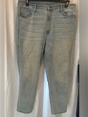 Arizona Jean Company Light Blue Skinny Jeans